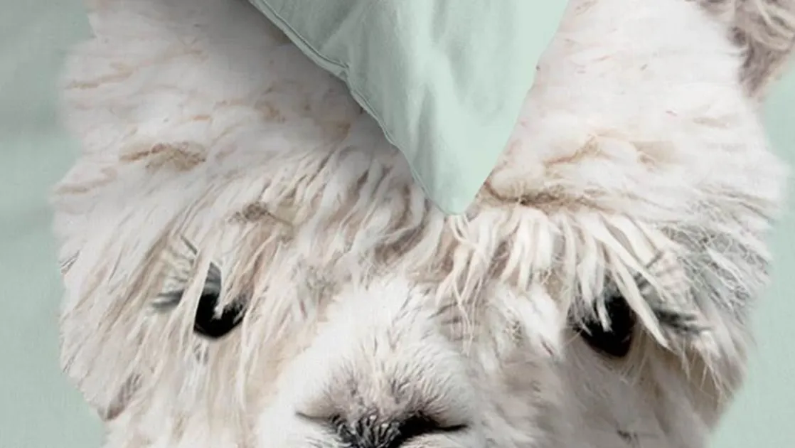 Alpaca dekbedovertrek