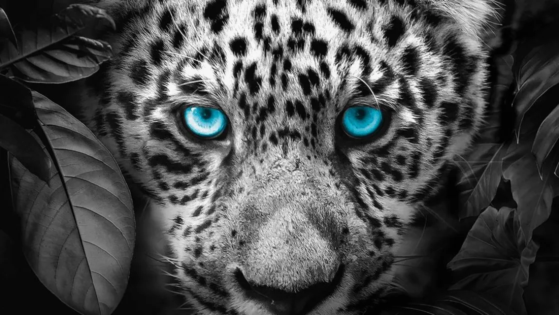 Blue Eyes dekbedovertrek