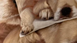 Puppy Love dekbedovertrek