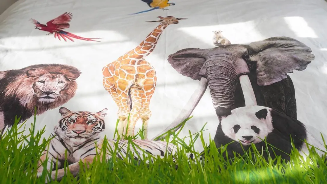 Zie Zoo dekbedovertrek